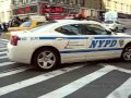 New York part II