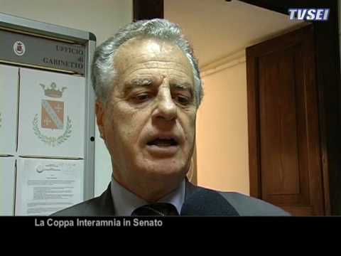 Immagine anteprima YouTube