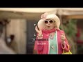 Panasonic - Lumix TZ3 Commercial (Rome) 2007 Panasonic - Lumix TZ3 Commercial (Rome) 2007