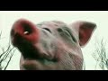 Metronomy - You Could Easily Have Me