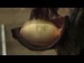 McCain making of 25 11 09