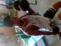 videos de diego o grande