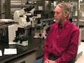 Collaborative Diagnostics Laboratory Malaria TV