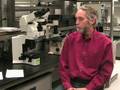 Collaborative Diagnostics explained