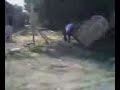 port-o-potty tackle