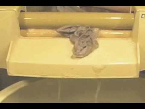 panty slip