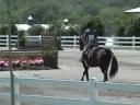 Carlyle and Lindsey Lg Jr JP\