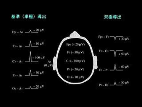 EEG in Japanese