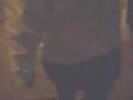 videos de my st.patricks day
