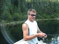 lake brook trout + suckers