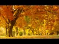 Nujabes – Autum