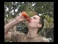 jackass-jen-pro-siln-povahy.html