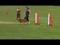 Australian Shepherd Agility - Calca - Summer 2007
