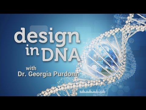 Origins: Design in DNA