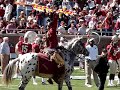 Osceola and the Flaming spear