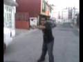 videos de Pelea a la DRAGON BALL Z