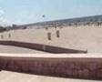 Ver Video