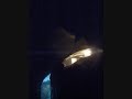 55022 19th jan higher quality 3