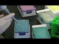 Plant-genome-mapping