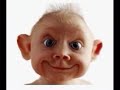FUNNY ANIMALS & PEOPLE - NEW at your request.