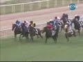 Thunder Groom Thunder Groom