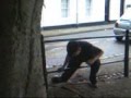 Basic Movement Training