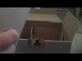 SELPHY CP800 Canon photo printer UNBOXING