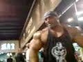 Chest and Shoulders Workouts Chest and Shoulders Workouts