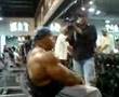 Chest and Shoulders Workouts