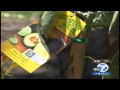 Emily VanCamp University High Garden Visit - KABC