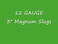 12 Gauge with 3