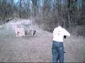 12 Gauge with 3 Magnum Slugs