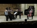 Gaudeamus String Quartet