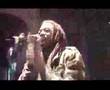 Ras Cocoman, Somos uno & Tkt Roots Band