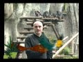 Passeio Animal - Chimpanzé