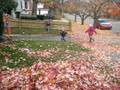 videos de Kids Jumping in Leaves