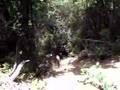 winch line repel