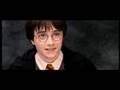 Harry Potter - Hagrid Pervert