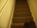 whos on the staircase