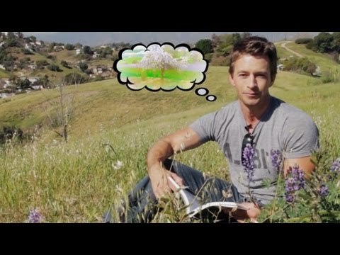 What are Microclimates & Hardiness Zones also known as Climate Zones & Growing Zones (2.4)