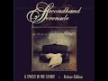 second hand seronade fall for you (lyrics)