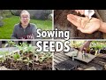 What Does Sow Mean In Gardening