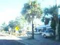 stroll trip to Sarasota, fl united states