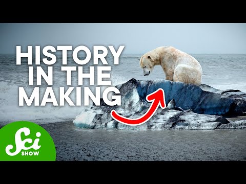 climate - Earth had a climate long before we showed up and started noticing it and it's influenced by a whole series of cycles that have been churning along for hundre...
