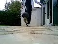 SATW-new trick SATW-new trick