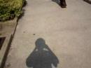 corey driveway