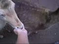 Zoológico de são paulo! Zoológico de são paulo!