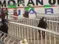 FRIDA VS MEMIN