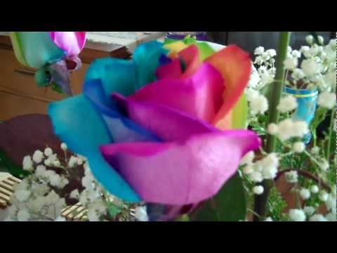 how to dye roses