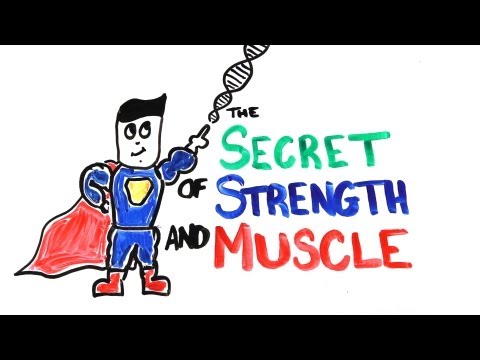 how to rebuild strength after illness